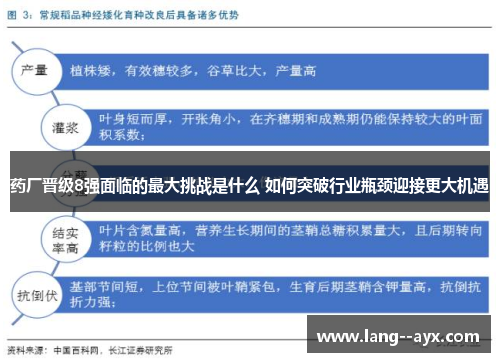 药厂晋级8强面临的最大挑战是什么 如何突破行业瓶颈迎接更大机遇 药厂晋级8强面临的最大挑战是什么 如何突破行业瓶颈迎接更大机遇