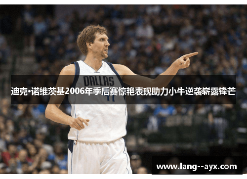 迪克·诺维茨基2006年季后赛惊艳表现助力小牛逆袭崭露锋芒