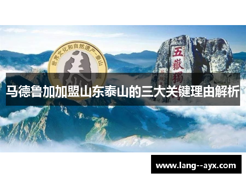 马德鲁加加盟山东泰山的三大关键理由解析