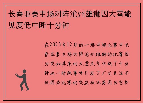 长春亚泰主场对阵沧州雄狮因大雪能见度低中断十分钟 长春亚泰主场对阵沧州雄狮因大雪能见度低中断十分钟